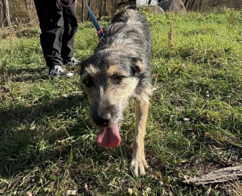 Mentor_program_2_10_kep