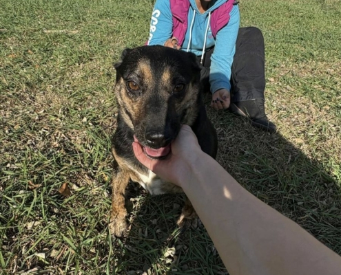 Mentor_program_2_11_kep