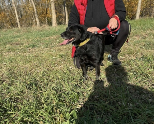 Mentor_program_2_12_kep