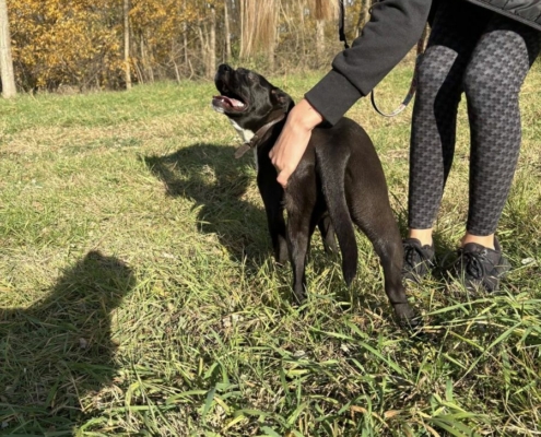 Mentor_program_2_14_kep