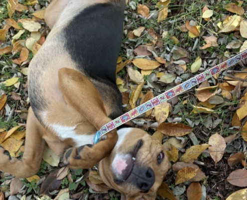 Mentor_program_2_16_kep