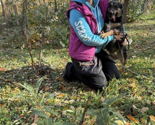 Mentor_program_2_17_kep