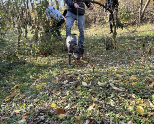 Mentor_program_2_18_kep