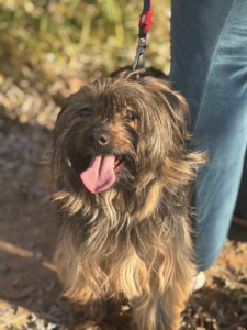 Mentor_program_2_1_kep