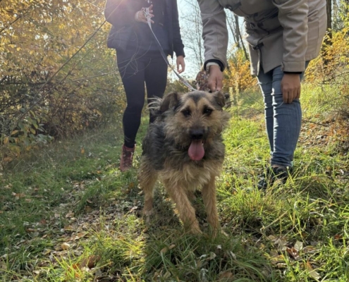 Mentor_program_2_23_kep