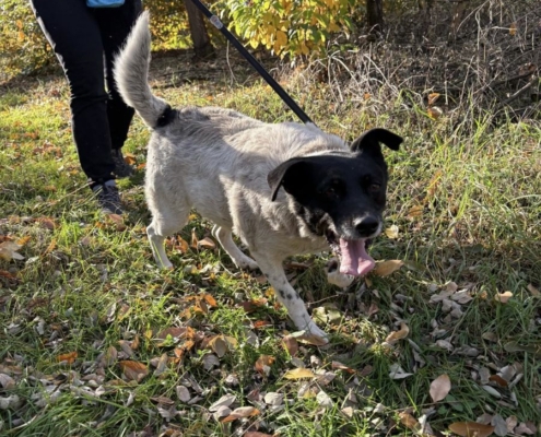 Mentor_program_2_24_kep