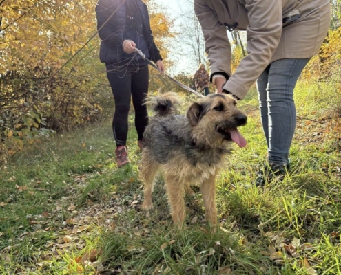 Mentor_program_2_25_kep