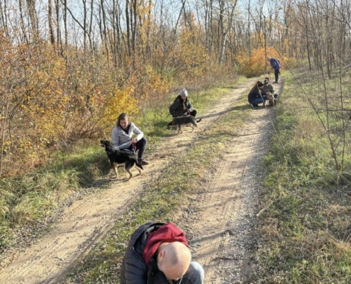 Mentor_program_2_26_kep