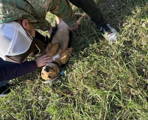 Mentor_program_2_8_kep