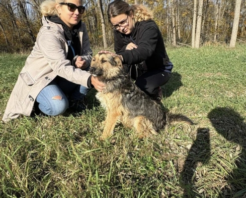 Mentor_program_2_9_kep